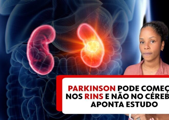 Descubra o que é a nova economia do cérebro