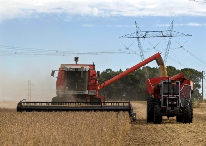 Brasil deve bater recorde de exportação e produção de soja em 2026, diz associação