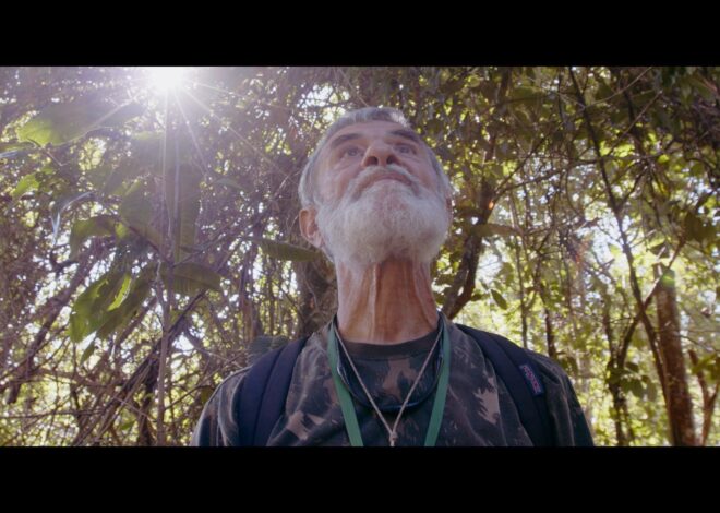 Seis receitas para reinventar a aposentadoria