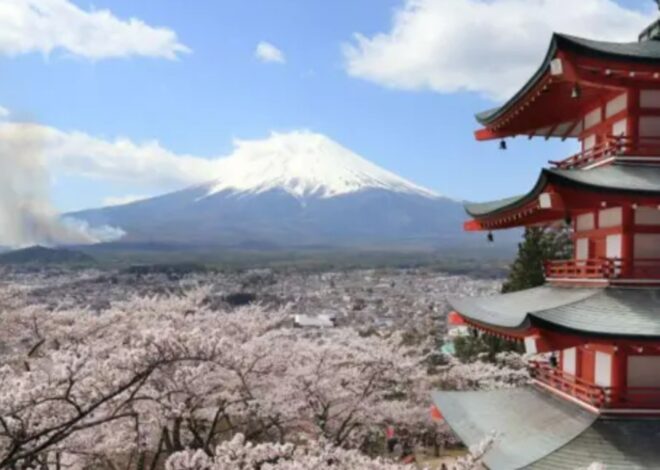 Mau comportamento dos turistas leva cidade japonesa a cancelar festival das cerejeiras em flor