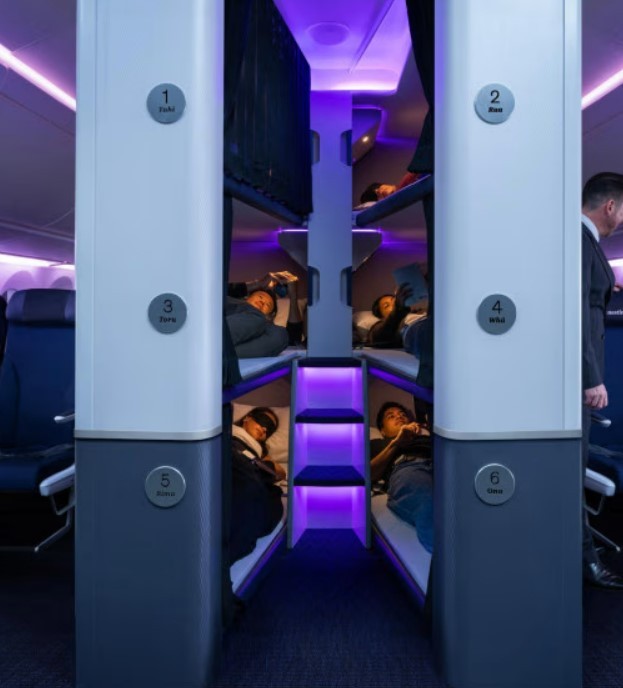 Companhia da Nova Zelândia vai oferecer 'cápsulas de soneca' na classe econômica, mas é proibido dormir de conchinha