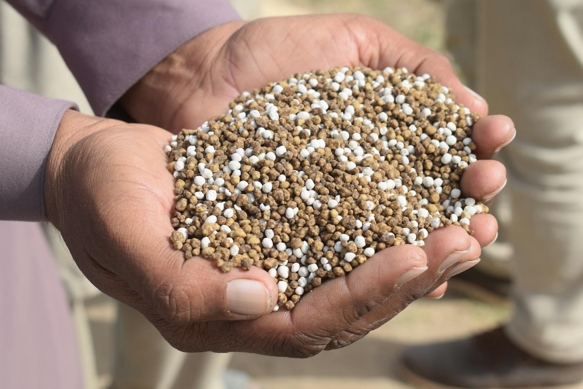Crise dos fertilizantes: quase metade do adubo importado vem de países em conflito, diz relatório