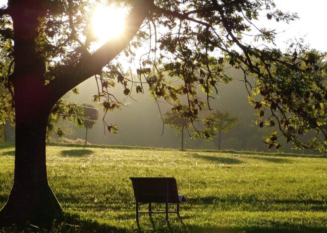 Por que alguns cérebros não conseguem superar a perda