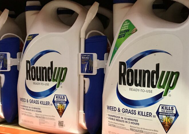 Bayer apresenta recurso na Suprema Corte dos EUA em processo sobre agrotóxico glifosato