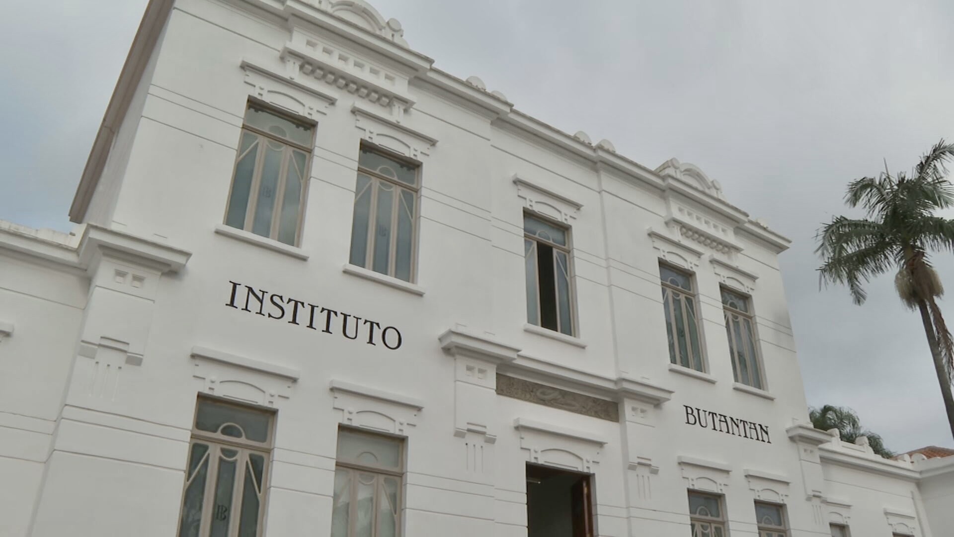 Instituto Butantan começa a desenvolver vacina contra gripe aviária