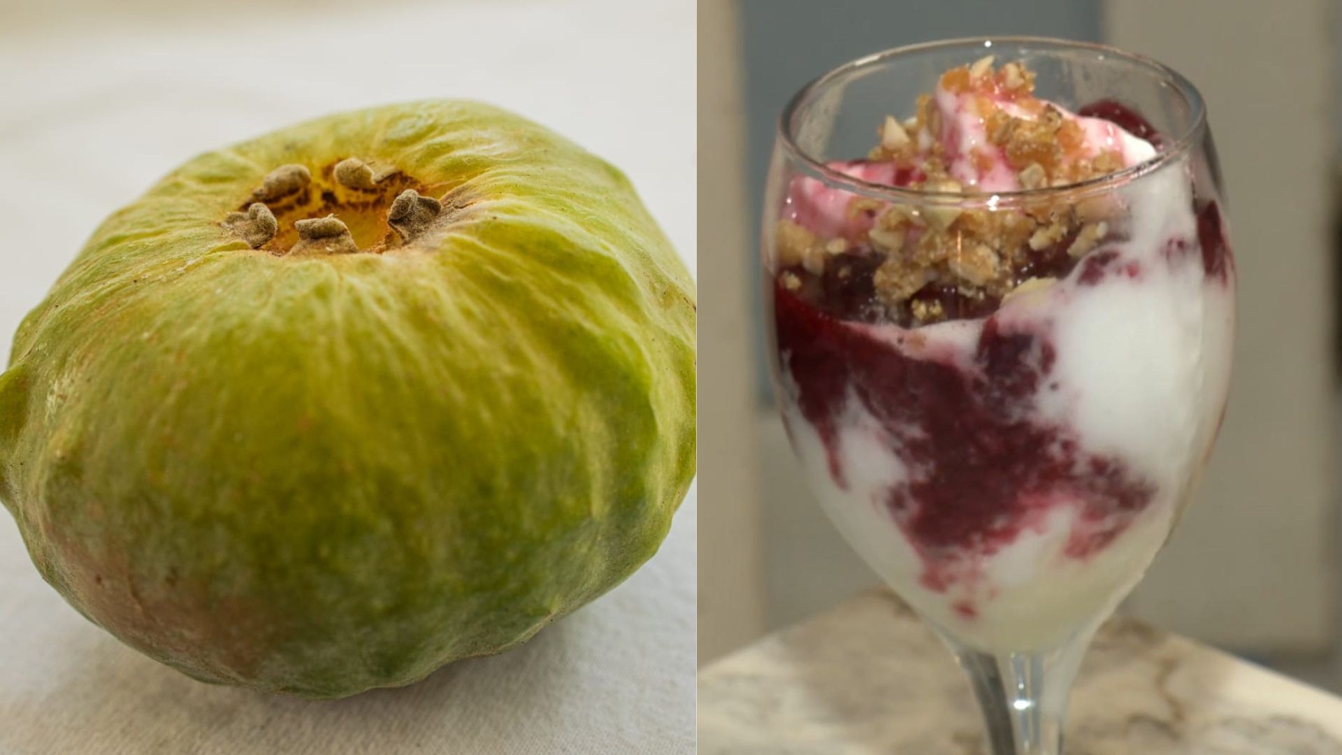 Você conhece a gabiroba gigante? Fruta rara da Mata Atlântica ficou famosa ao vencer concurso de sorvete