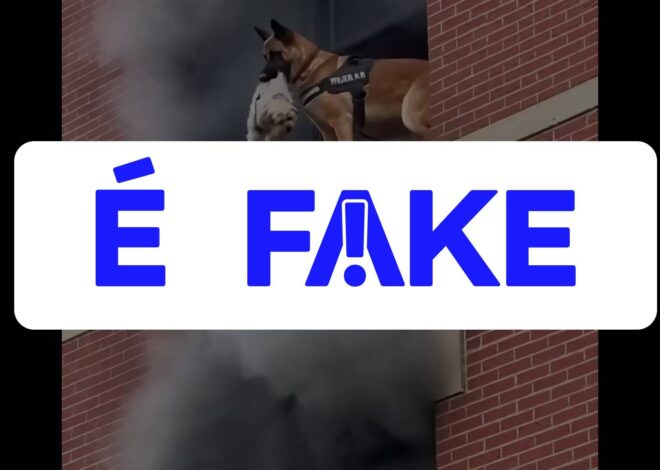 É #FAKE vídeo de cão policial salvando shih tzu de prédio em chamas; cena foi criada com inteligência artificial